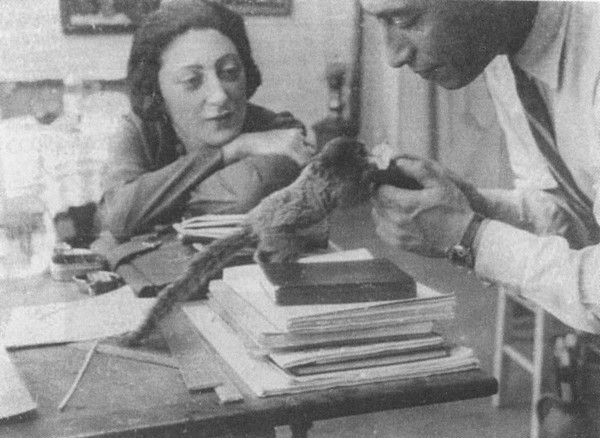 Мозаика еврейских судеб. XX век - i_006.jpg