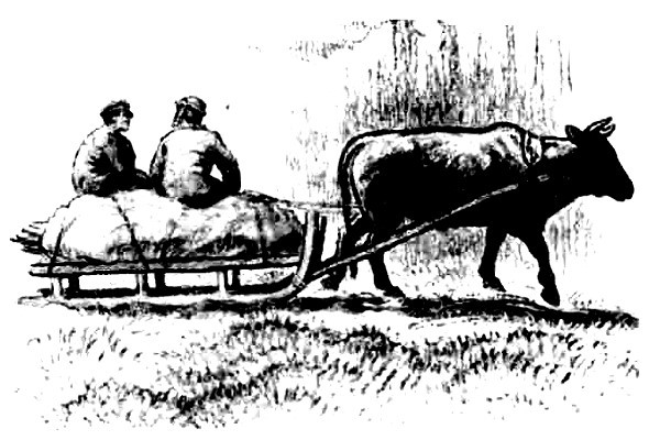 Из тьмы - i_013.jpg