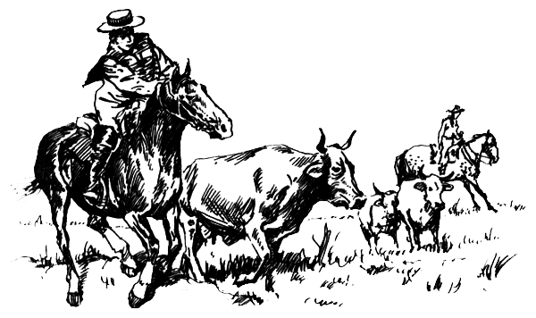 ВьЮжная Америка - i_026.png