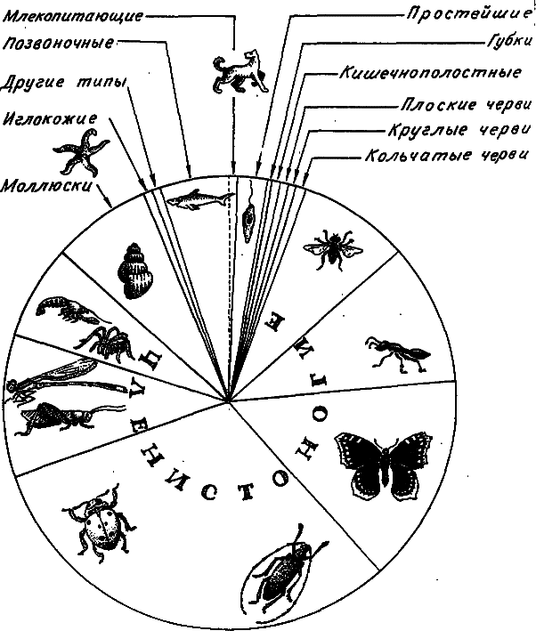 Эволюция и прогресс - i_002.png