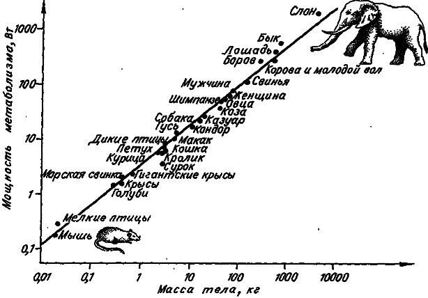 Эволюция и прогресс - i_007.png