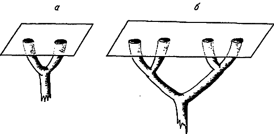 Эволюция и прогресс - i_008.png
