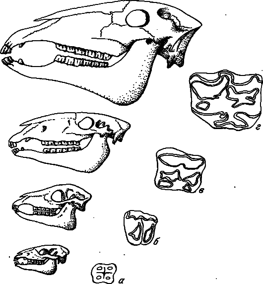 Эволюция и прогресс - i_009.png