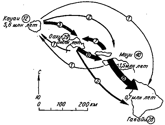 Эволюция и прогресс - i_010.png