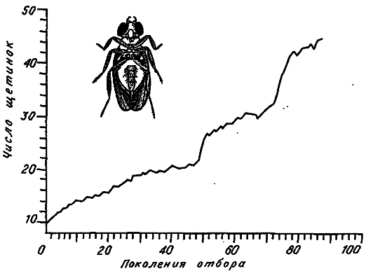 Эволюция и прогресс - i_031.png