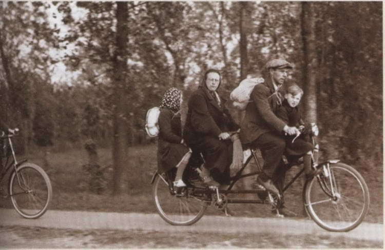 Первая мировая война. Борьба миров - i_269.jpg