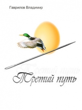  Гаврилов Владимир Геннадьевич - Третий путь