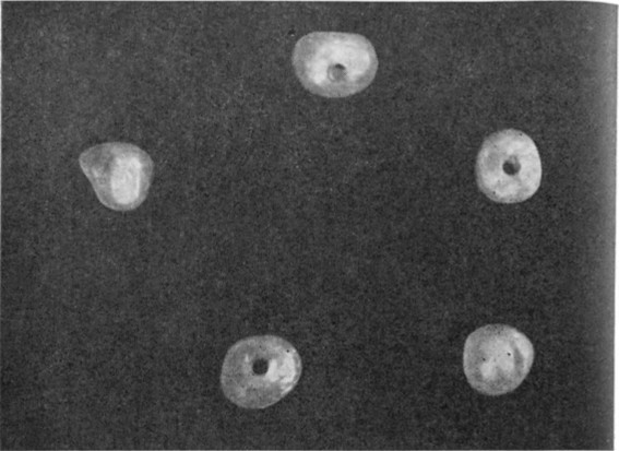 Жемчуг - i_004.jpg