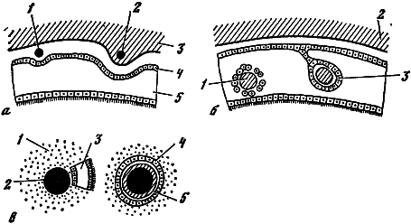 Жемчуг - i_019.png