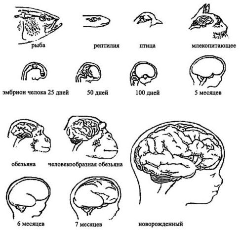 Конца света не было и не будет - i_005.jpg