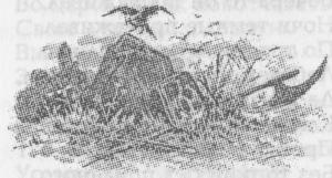 Древние славяне - i_119.jpg