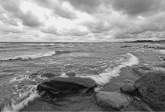 Псковская земля. История. Монастыри. Усадьбы. Люди - _04.jpg