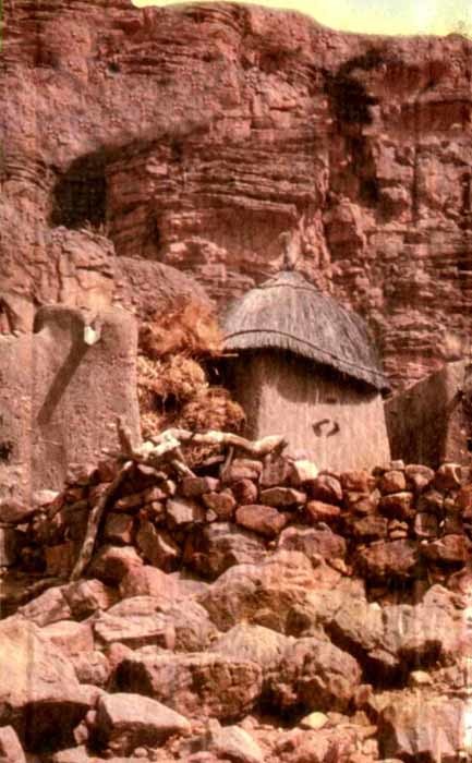 Африка — земля парадоксов - img01.jpg