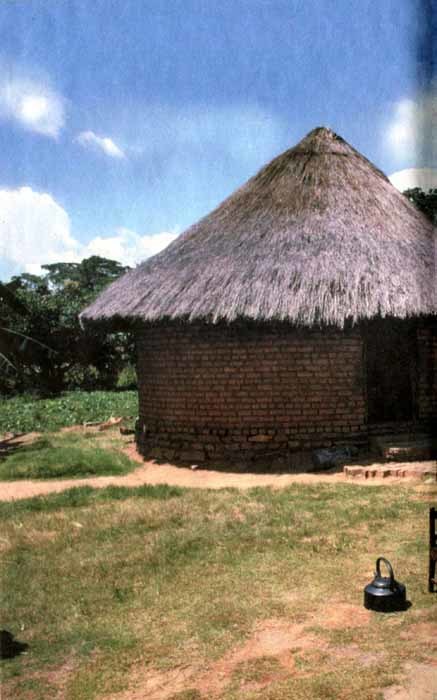 Африка — земля парадоксов - img03.jpg