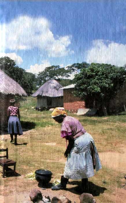 Африка — земля парадоксов - img04.jpg