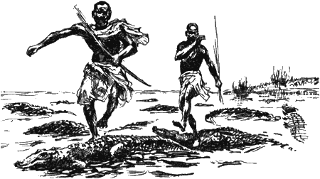 Африка — земля парадоксов - img11.png