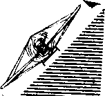 Воздушный витязь - i_021.png