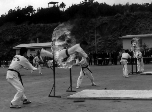 Хапкидо для начинающих - i_002.png