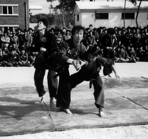 Хапкидо для начинающих - i_004.png