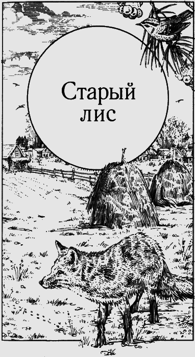 Долгая дорога домой (сборник) с илл. - img02.png