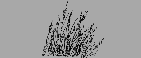 Долгая дорога домой (сборник) с илл. - img03.png