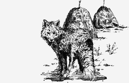 Долгая дорога домой (сборник) с илл. - img17.png