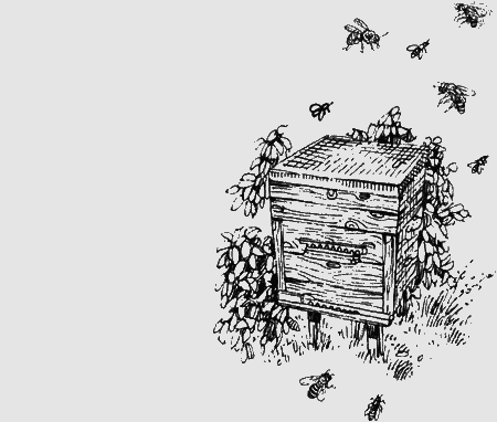 Долгая дорога домой (сборник) с илл. - img25.png