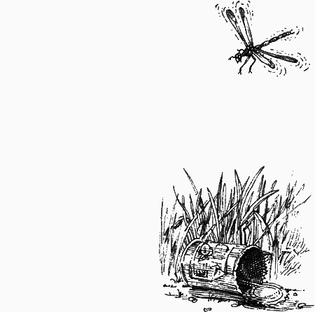 Долгая дорога домой (сборник) с илл. - img26.png