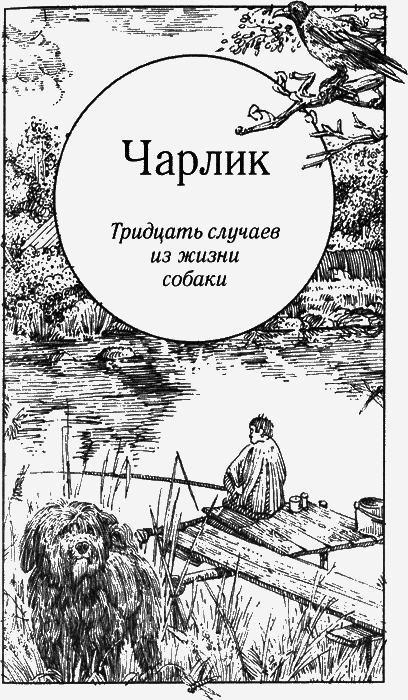 Долгая дорога домой (сборник) с илл. - img31.png