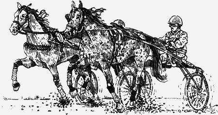 Долгая дорога домой (сборник) с илл. - img60.png