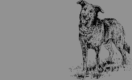 Долгая дорога домой (сборник) с илл. - img63.png