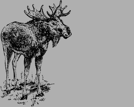 Долгая дорога домой (сборник) с илл. - img69.png