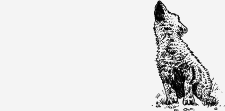 Долгая дорога домой (сборник) с илл. - img72.png