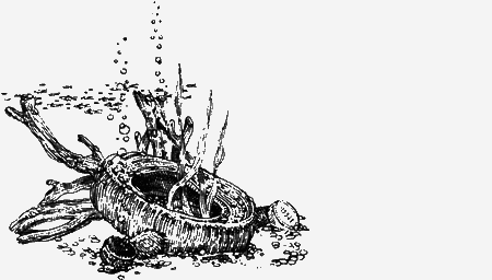 Долгая дорога домой (сборник) с илл. - img80.png