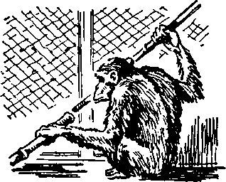 Бог, Адам и общество - i_016.jpg