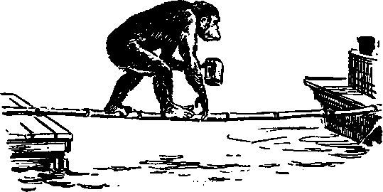 Бог, Адам и общество - i_025.jpg