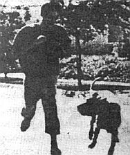 Брюс Ли: Путь опережающего кулака - _45.jpg