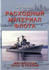  Соколов Алексей Николаевич - Расходный материал флота. Миноносцы СССР и России