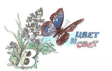 Синий махаон - _20141201172551Skrinshotehkrana.jpg