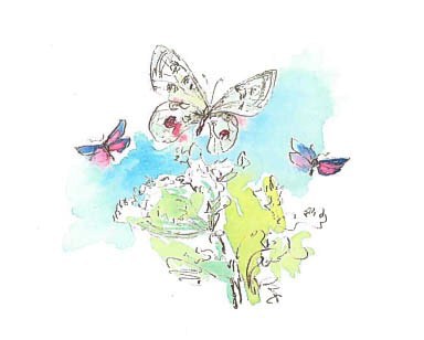 Синий махаон - _20141201153922Skrinshotehkrana.jpg