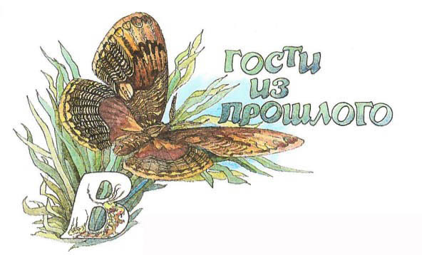 Синий махаон - _20141201154326Skrinshotehkrana.jpg