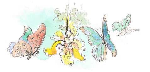 Синий махаон - _20141201190953Skrinshotehkrana.jpg