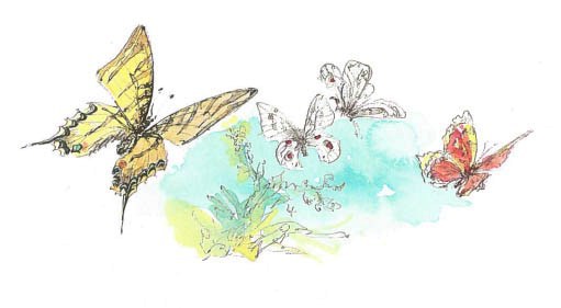 Синий махаон - _20141201191021Skrinshotehkrana.jpg