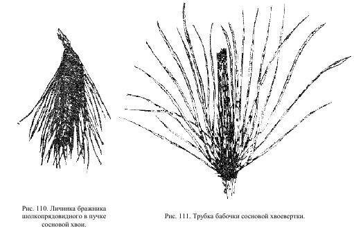 Приключения с насекомыми - pic_60.jpg