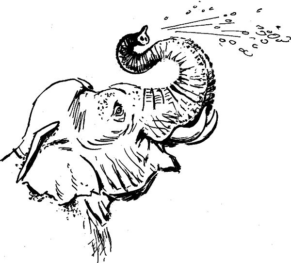 Что бывало (сборник) - i_009.png