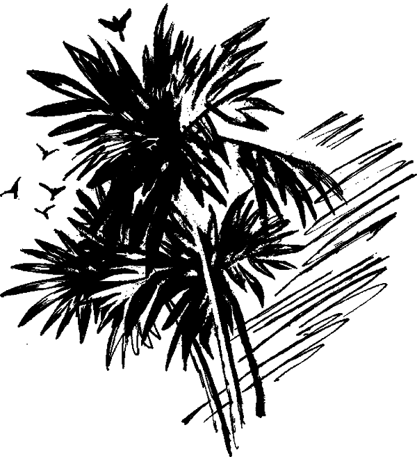 Что бывало (сборник) - i_015.png