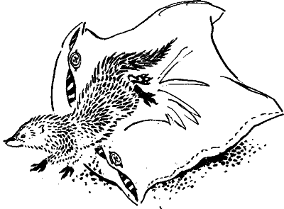 Что бывало (сборник) - i_017.png