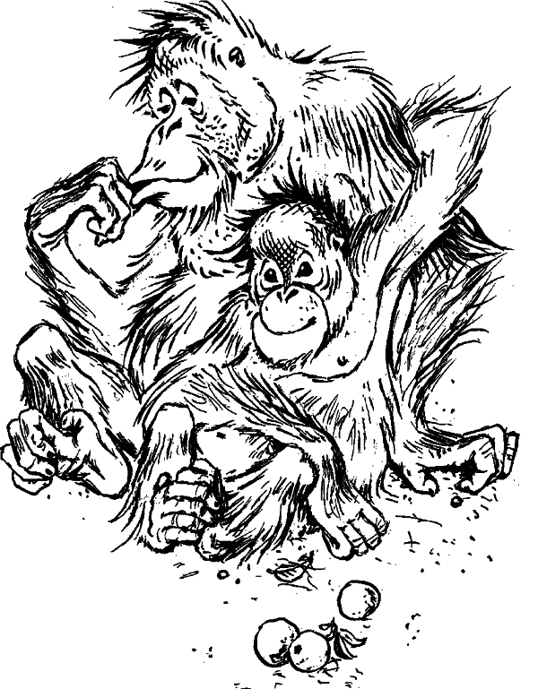 Что бывало (сборник) - i_022.png