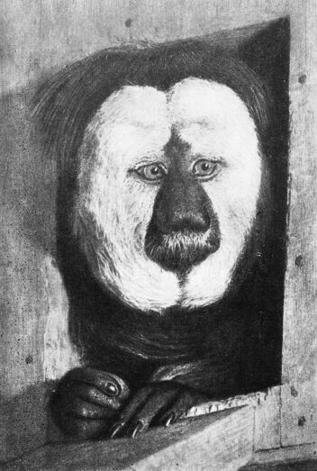 Приматы - _2belogolovyjjsaki.jpg