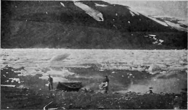 На Новую Землю! - img_14.jpeg